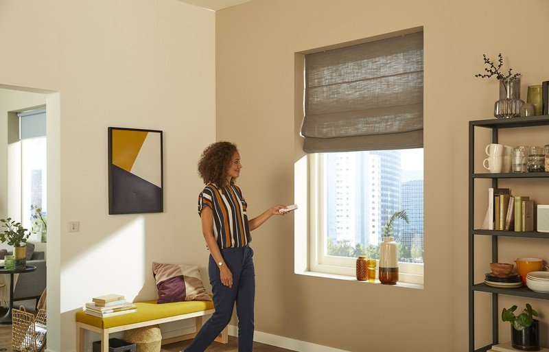 somfy blinds google home